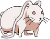 Ragout Rabbit