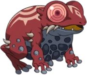 Gaudy Frog