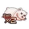EXP Boost (2x)