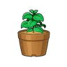 Hard Worker's Seedling