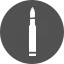 Gun